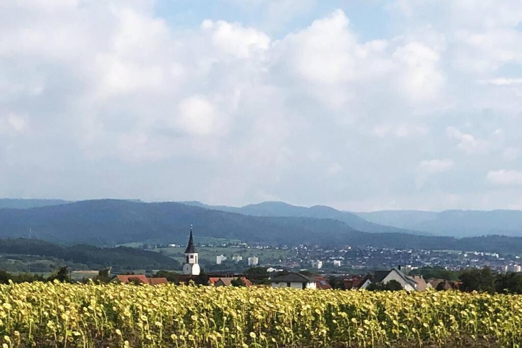 Kleines Haeuschen Zum Wohlfuehlen Leilighet Balingen Eksteriør bilde